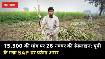 ₹5,500 की मांग पर 26 नवंबर की डेडलाइन: यूपी के गन्ना SAP पर पड़ेगा असर