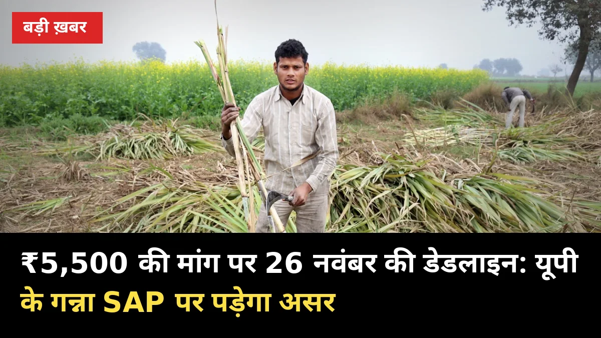 ₹5,500 की मांग पर 26 नवंबर की डेडलाइन: यूपी के गन्ना SAP पर पड़ेगा असर