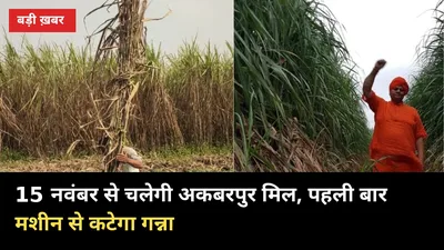 15 नवंबर से चलेगी अकबरपुर मिल, पहली बार मशीन से कटेगा गन्ना: 1 हफ्ते में भुगतान