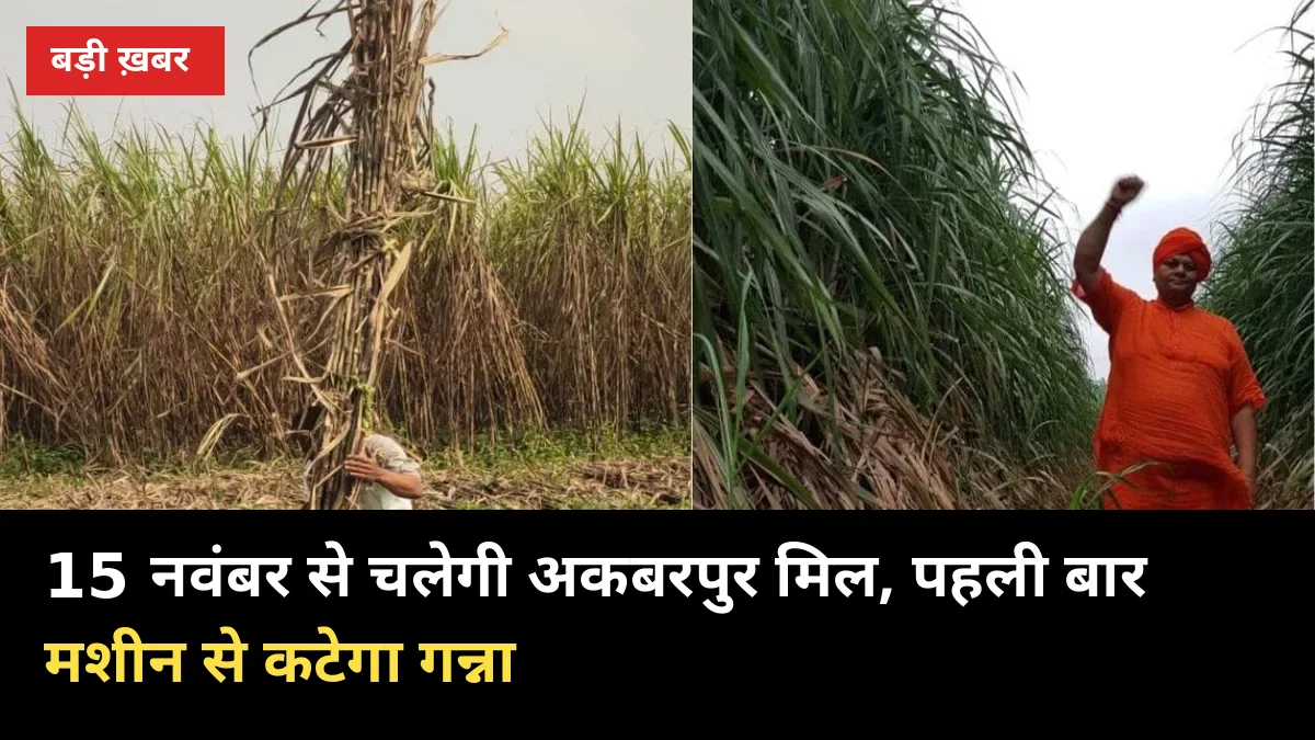 15 नवंबर से चलेगी अकबरपुर मिल, पहली बार मशीन से कटेगा गन्ना: 1 हफ्ते में भुगतान