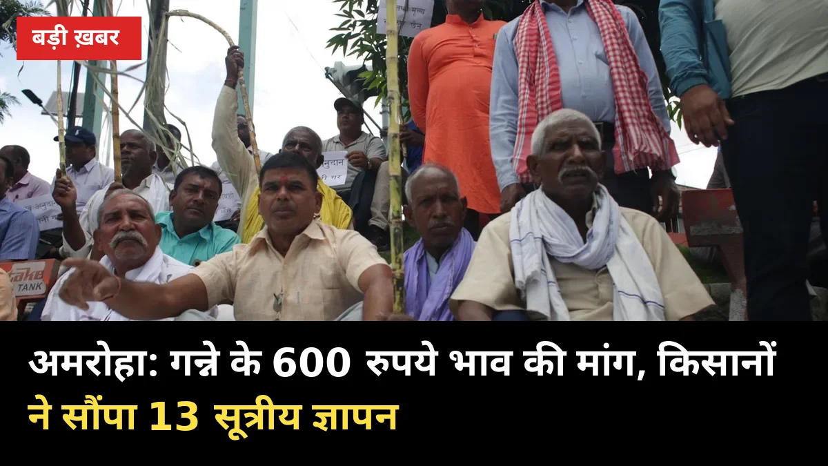 अमरोहा: गन्ने के 600 रुपये भाव की मांग, किसानों ने सौंपा 13 सूत्रीय ज्ञापन