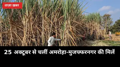 25 अक्टूबर से चलीं अमरोहा-मुजफ्फरनगर की मिलें, पर गन्ने का दाम अभी तय नहीं