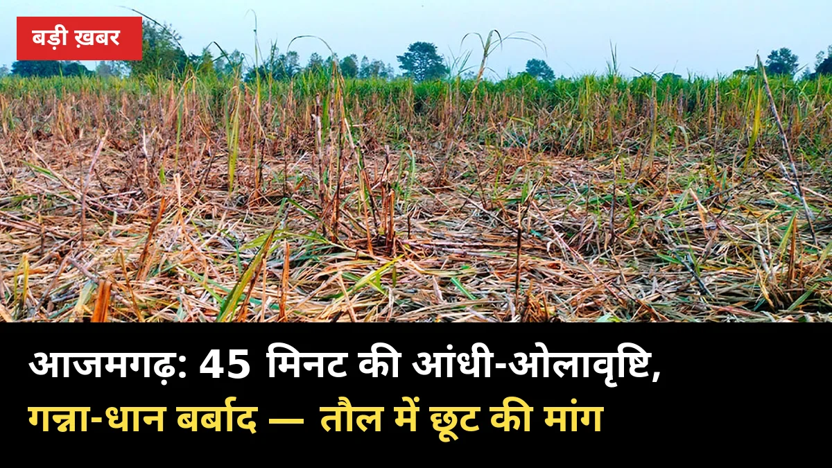 आजमगढ़ में 45 मिनट की आंधी-ओलावृष्टि: गन्ना गिरा, धान तबाह — किसान बोले, तौल में छूट दो