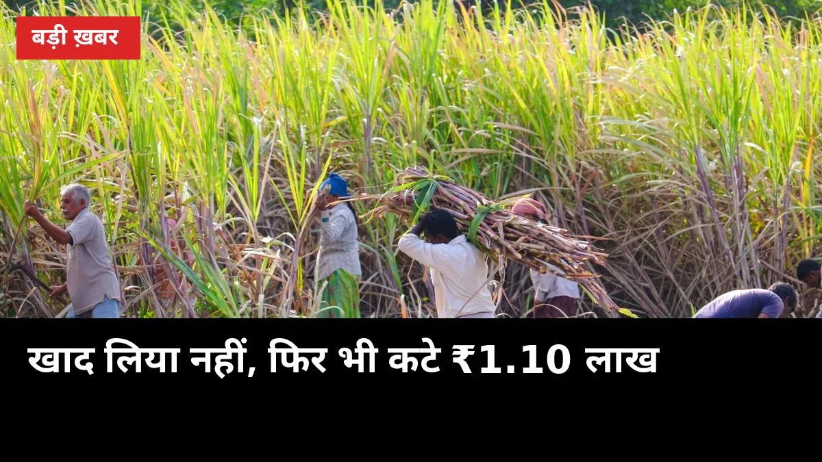 खाद लिया नहीं, फिर भी कटे ₹1.10 लाख! 150 गन्ना किसानों के खाते से 1 करोड़ गायब