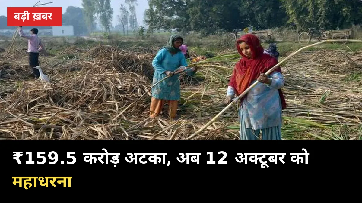 ₹159.5 करोड़ अटका, धरना एक महीने से जारी: बहेड़ी केसर मिल पर 12 अक्टूबर का ऐलान