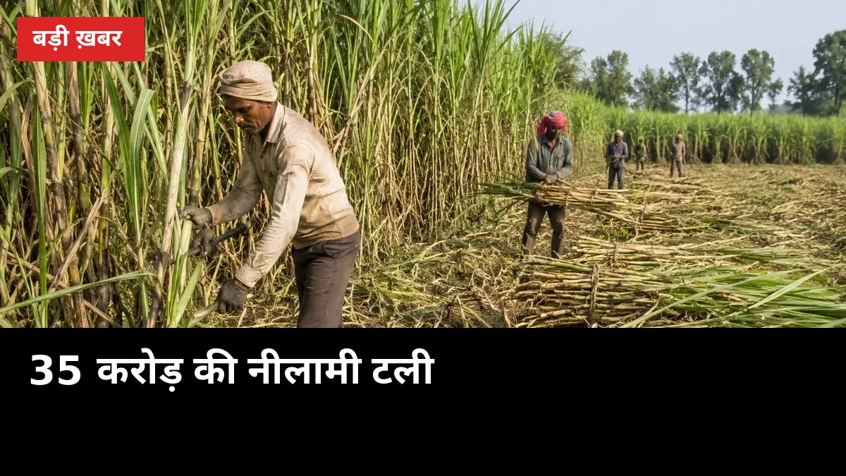 1 डीडी की कमी से टली 35 करोड़ की नीलामी, बहेड़ी के किसान फिर खाली हाथ