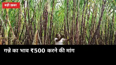 गन्ने का भाव ₹500 करने की मांग लेकर बापू भवन पहुंचे किसान, सरकार से मिला यह जवाब