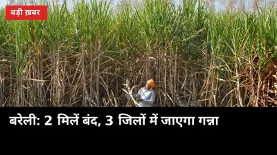 बरेली के किसानों का गन्ना अब 3 जिलों में, 2 मिलें बंद — 10 नवंबर से पेराई