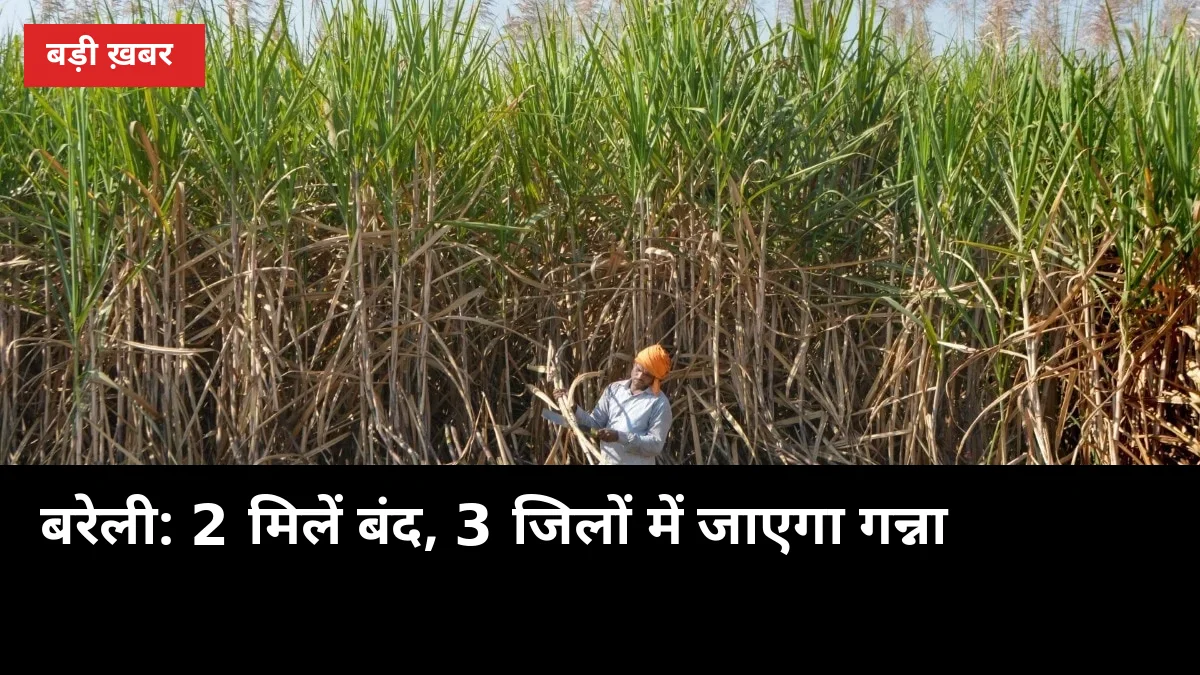 बरेली के किसानों का गन्ना अब 3 जिलों में, 2 मिलें बंद — 10 नवंबर से पेराई