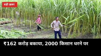 ₹162 करोड़ बकाया, 2000 किसान धरने पर: बहेड़ी केसर मिल पर हाईवे जाम की चेतावनी