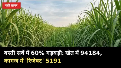 बस्ती में 60% सर्वे में किस्म ही गलत: खेत में 94184, कागज में 'रिजेक्ट' 5191