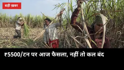 ₹5500/टन पर आज होगा फैसला, नहीं तो कल कर्नाटक बंद: बेलगावी में CM की दो बड़ी बैठकें