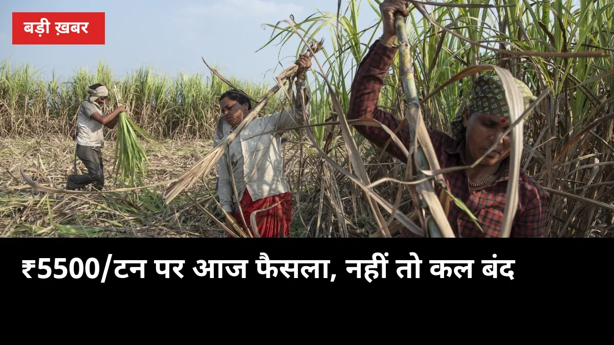 ₹5500/टन पर आज होगा फैसला, नहीं तो कल कर्नाटक बंद: बेलगावी में CM की दो बड़ी बैठकें