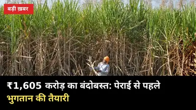 पेराई से पहले ही ₹1,605 करोड़ का बंदोबस्त: बिजनौर के गन्ना किसानों की जेब कब भरेगी