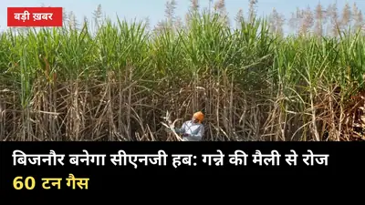 बिजनौर बनेगा सीएनजी हब: गन्ने की मैली से रोज 60 टन गैस, 550 करोड़ का निवेश