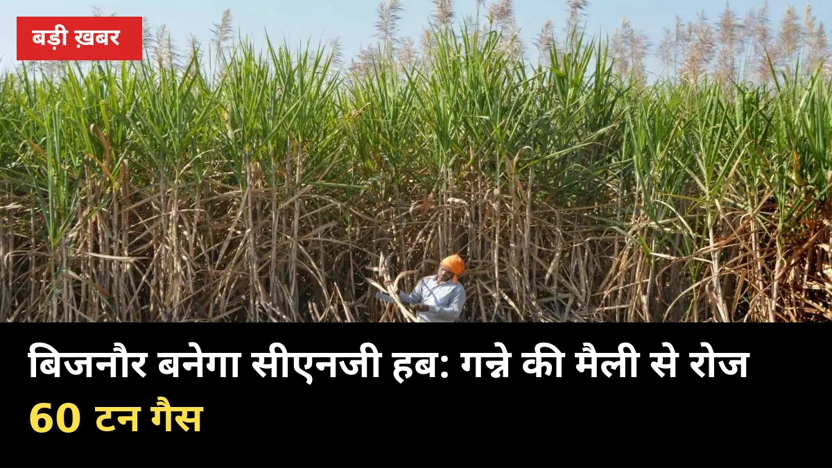 बिजनौर बनेगा सीएनजी हब: गन्ने की मैली से रोज 60 टन गैस, 550 करोड़ का निवेश