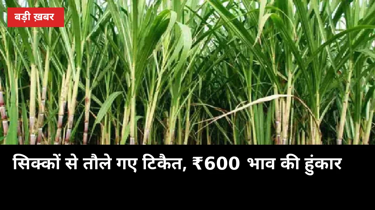 सिक्कों से तौले गए टिकैत: ₹600 गन्ना भाव की हुंकार, अब 23 अक्टूबर को लखनऊ की बारी