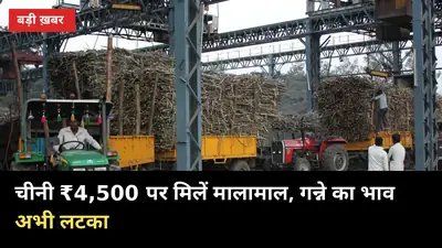 ₹4,500 चीनी पर मिलें कमा रहीं, गन्ने का 2026-27 भाव अभी लटका — 7 साल बाद बड़ा फैसला