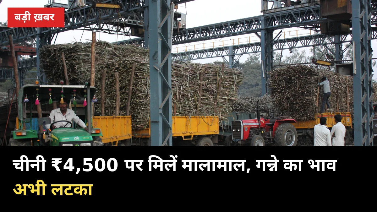 ₹4,500 चीनी पर मिलें कमा रहीं, गन्ने का 2026-27 भाव अभी लटका — 7 साल बाद बड़ा फैसला