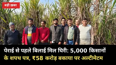 पेराई से पहले बिलाई मिल घिरी: 5,000 किसानों के शपथ पत्र, ₹58 करोड़ बकाया पर अल्टीमेटम