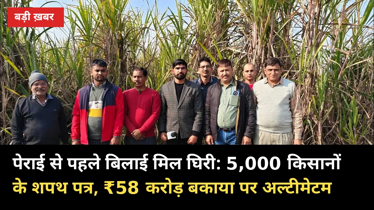 पेराई से पहले बिलाई मिल घिरी: 5,000 किसानों के शपथ पत्र, ₹58 करोड़ बकाया पर अल्टीमेटम