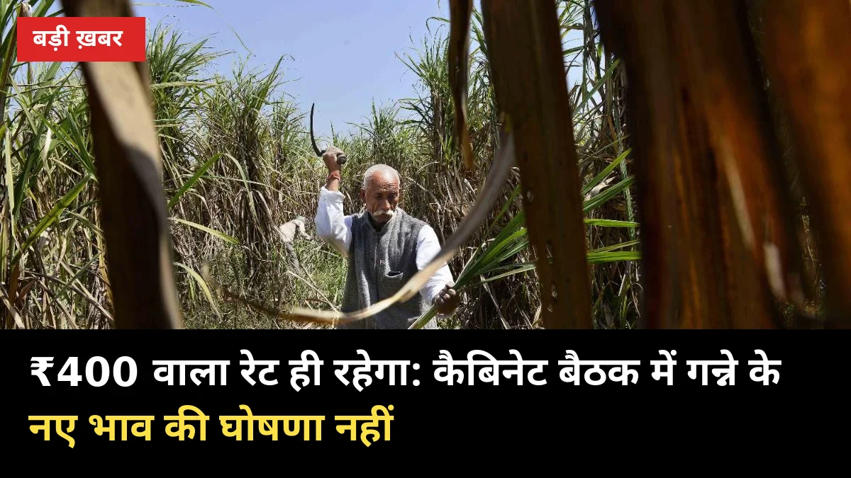 ₹400 वाला रेट ही रहेगा: कैबिनेट बैठक में गन्ने के नए भाव की घोषणा नहीं