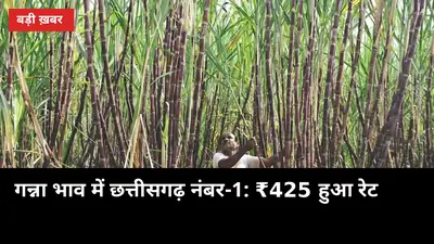 गन्ना भाव में छत्तीसगढ़ नंबर-1: ₹425 हुआ रेट, यूपी किसानों के लिए क्या मतलब