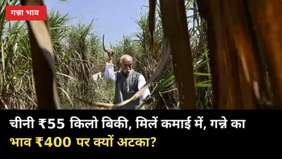 चीनी ₹55 किलो बिकी, मिलें कमाई में — गन्ने का भाव ₹400 पर क्यों अटका?