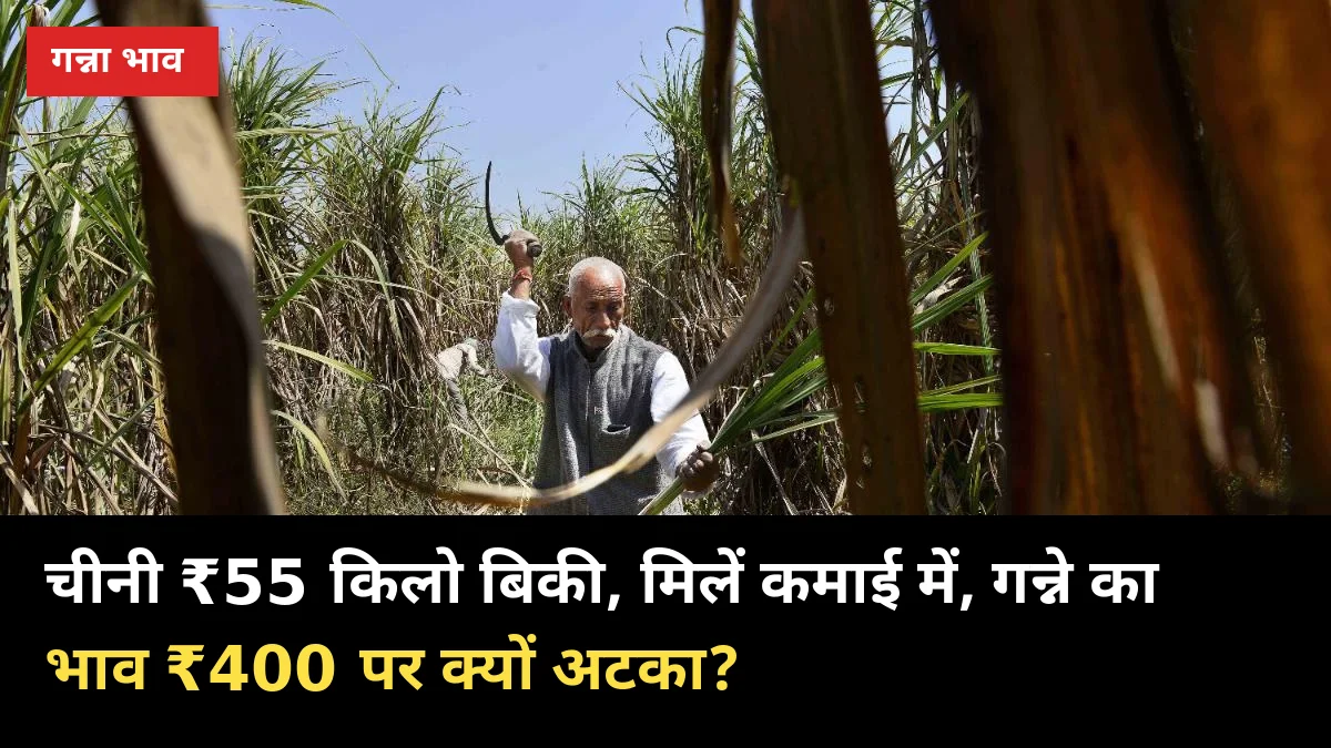 चीनी ₹55 किलो बिकी, मिलें कमाई में — गन्ने का भाव ₹400 पर क्यों अटका?