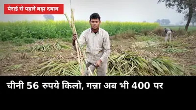चीनी 56 रुपये किलो, गन्ना अब भी 400 पर: पेराई से पहले बढ़ा दबाव, 16 अक्टूबर को प्रदर्शन