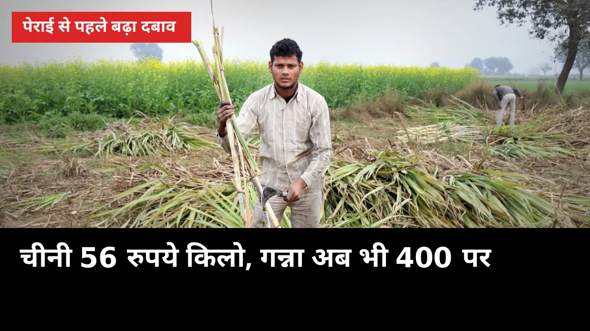 चीनी 56 रुपये किलो, गन्ना अब भी 400 पर: पेराई से पहले बढ़ा दबाव, 16 अक्टूबर को प्रदर्शन