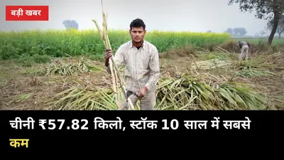 चीनी ₹57.82 किलो, स्टॉक 10 साल में सबसे कम: यूपी गन्ना किसानों को 3 बड़े फायदे