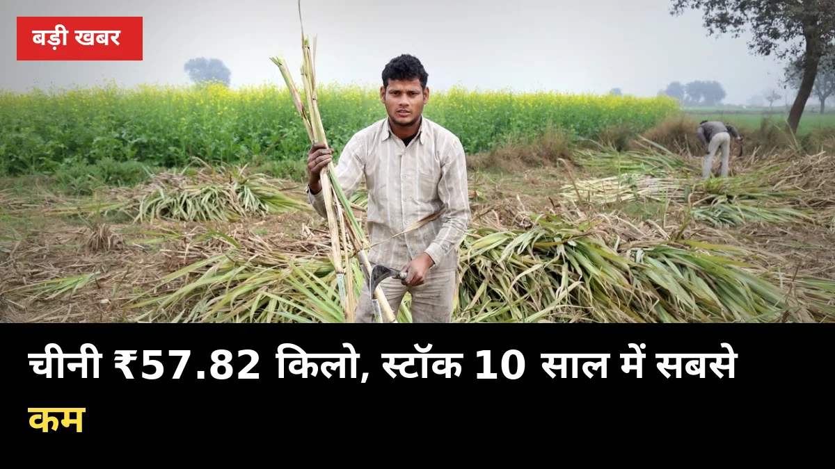 चीनी ₹57.82 किलो, स्टॉक 10 साल में सबसे कम: यूपी गन्ना किसानों को 3 बड़े फायदे