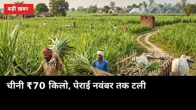 चीनी ₹70 किलो पहुंची, पेराई नवंबर तक टली, किसान के गन्ने पर क्या असर होगा?