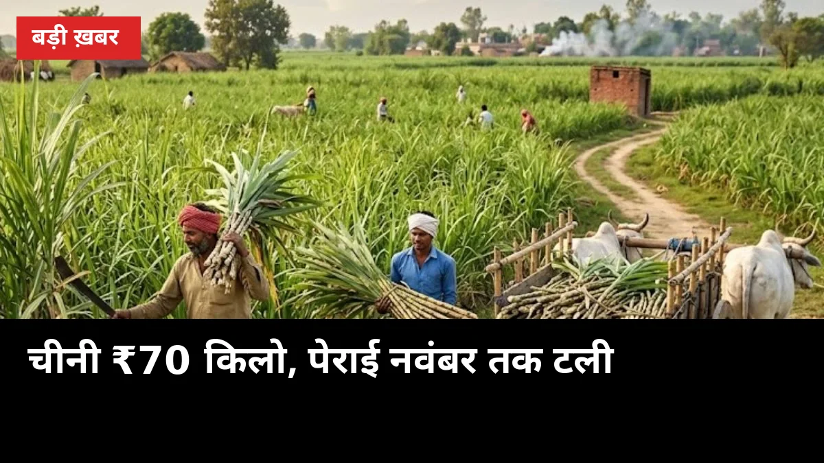 चीनी ₹70 किलो पहुंची, पेराई नवंबर तक टली, किसान के गन्ने पर क्या असर होगा?