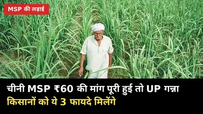 चीनी MSP ₹60 की मांग पूरी हुई तो UP गन्ना किसानों को ये 3 फायदे मिलेंगे