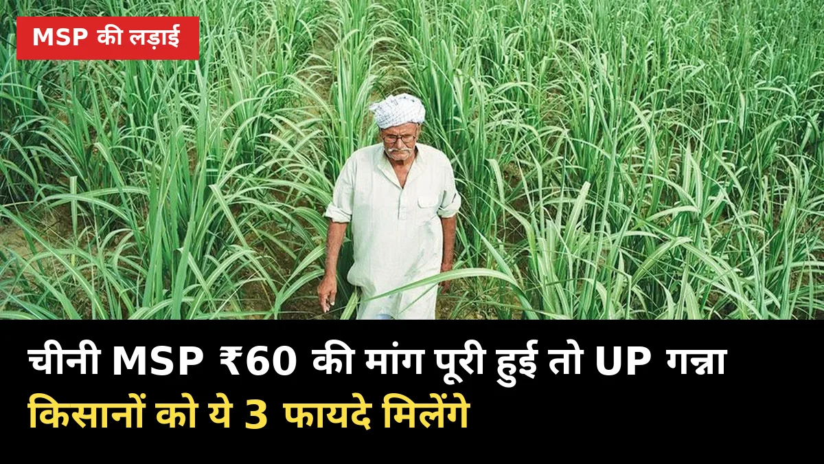 चीनी MSP ₹60 की मांग पूरी हुई तो UP गन्ना किसानों को ये 3 फायदे मिलेंगे