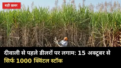 दीवाली से पहले डीलरों पर लगाम: 15 अक्टूबर से सिर्फ 1000 क्विंटल स्टॉक, किसान पर असर