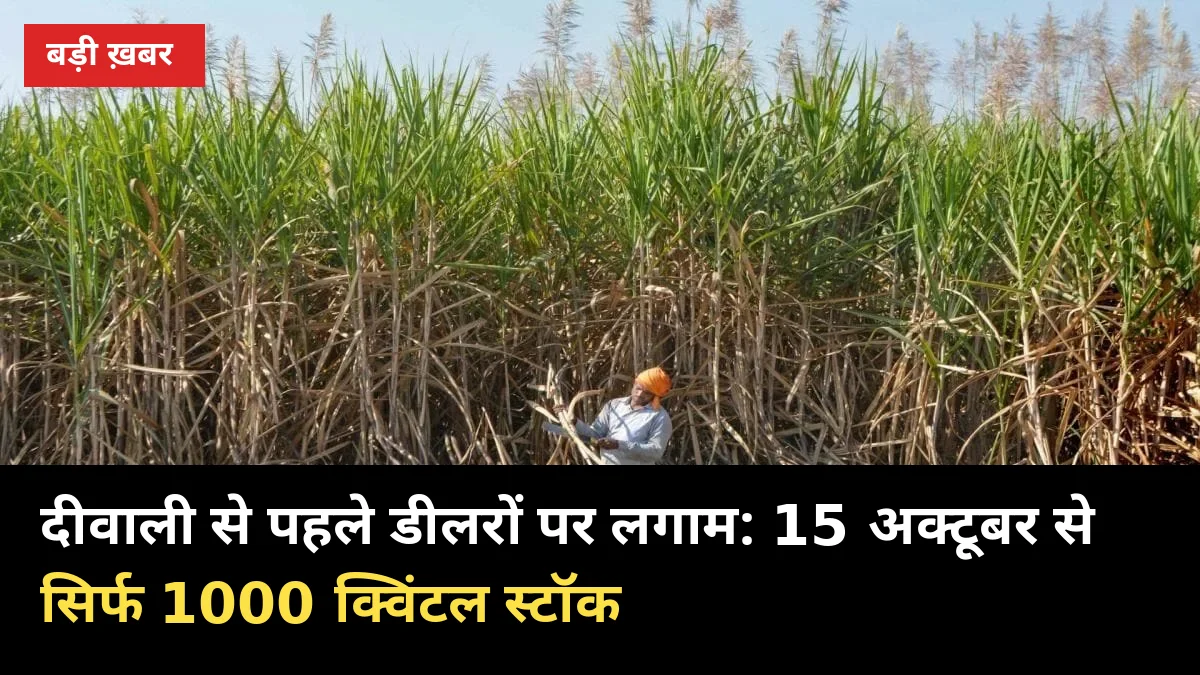 दीवाली से पहले डीलरों पर लगाम: 15 अक्टूबर से सिर्फ 1000 क्विंटल स्टॉक, किसान पर असर