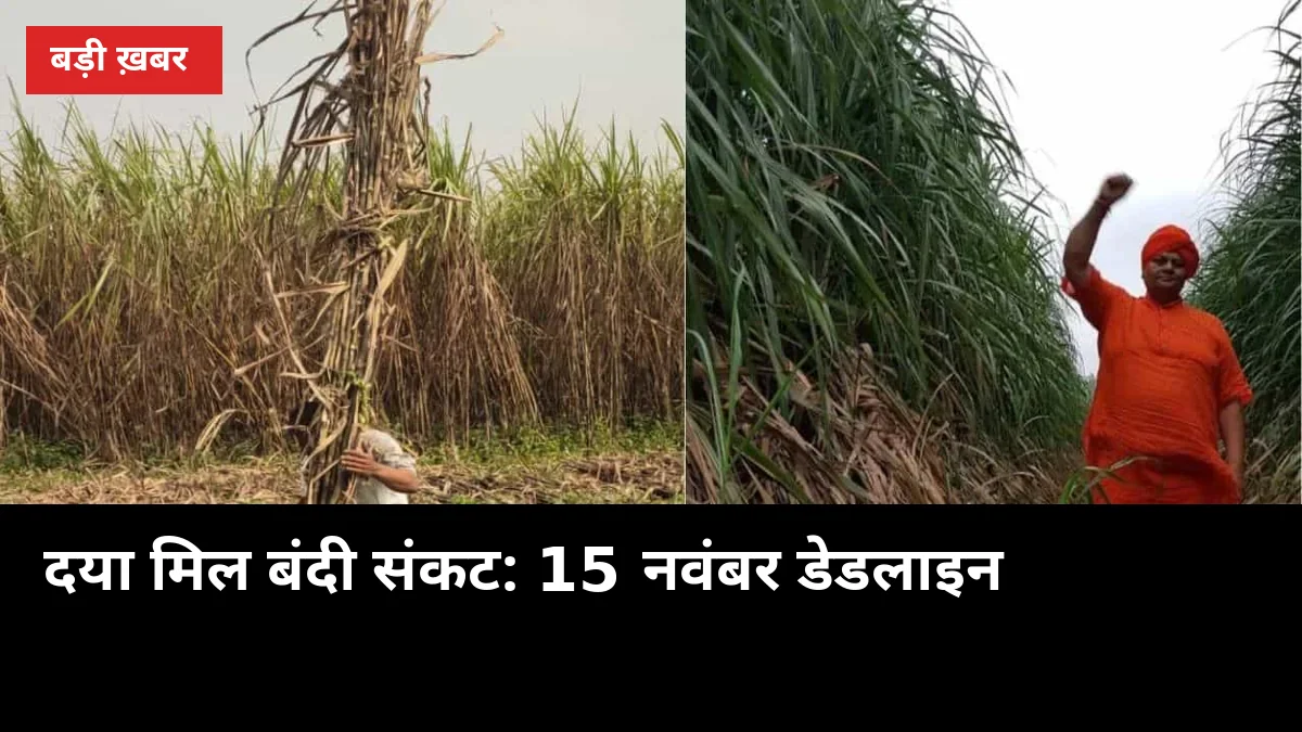 दया शुगर मिल बंदी संकट: 15 नवंबर डेडलाइन, 100 गांवों का गन्ना कहां जाएगा?