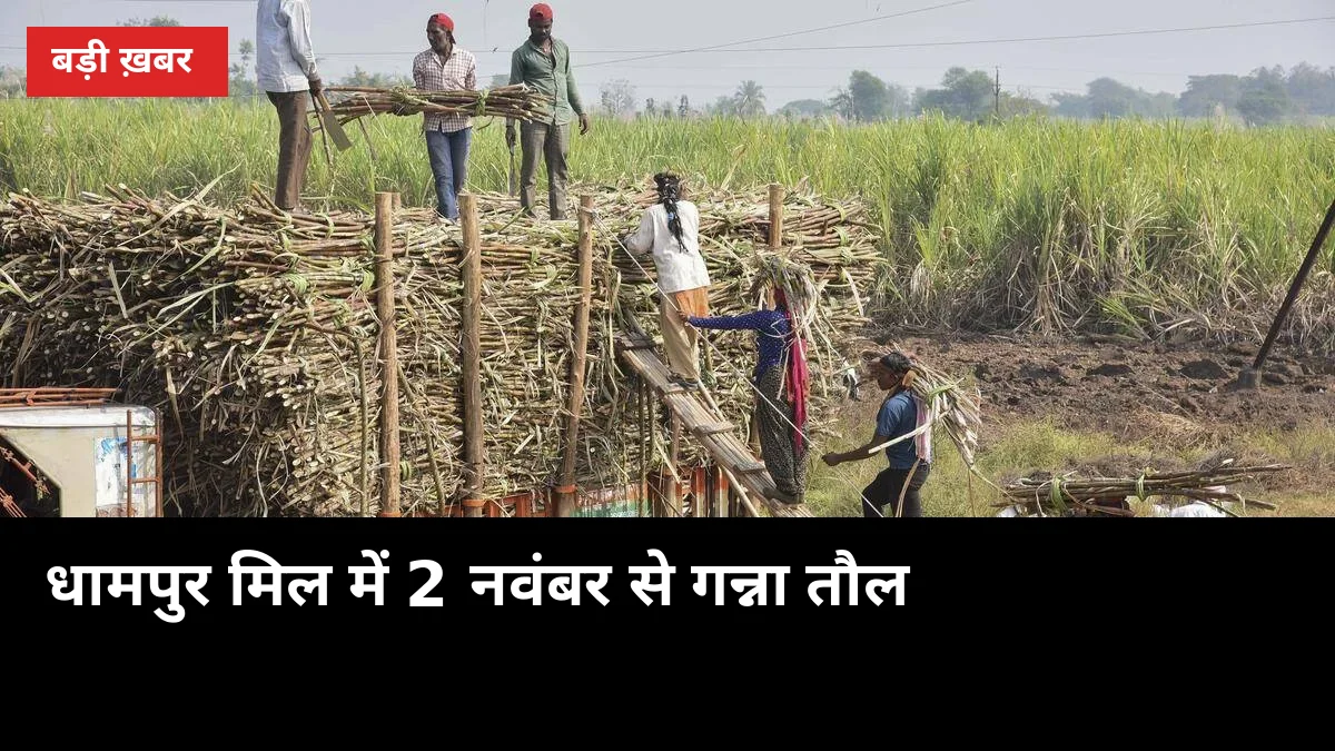 धामपुर मिल में 2 नवंबर से गन्ना तौल, 62,000 क्विंटल का इंडेंट जारी