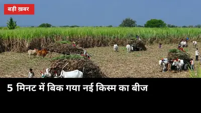 5 मिनट में बिक गया नई किस्म का बीज: मिठास मेले में मिलेगा चूकने वालों को अगला मौका