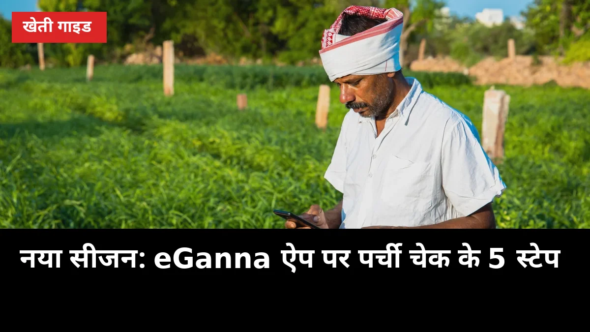 1 अक्टूबर से नया गन्ना सीजन: eGanna ऐप पर पर्ची चेक के 5 स्टेप, SMS पर मिलेगी सूचना