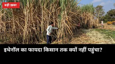 इथेनॉल से ₹1,40,000 करोड़ का दावा, पर शामली के किसान का भुगतान 9 महीने लेट क्यों?