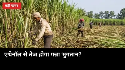 एथेनॉल से तेज होगा गन्ना भुगतान? छाता में ₹200 करोड़ प्लांट को मंजूरी