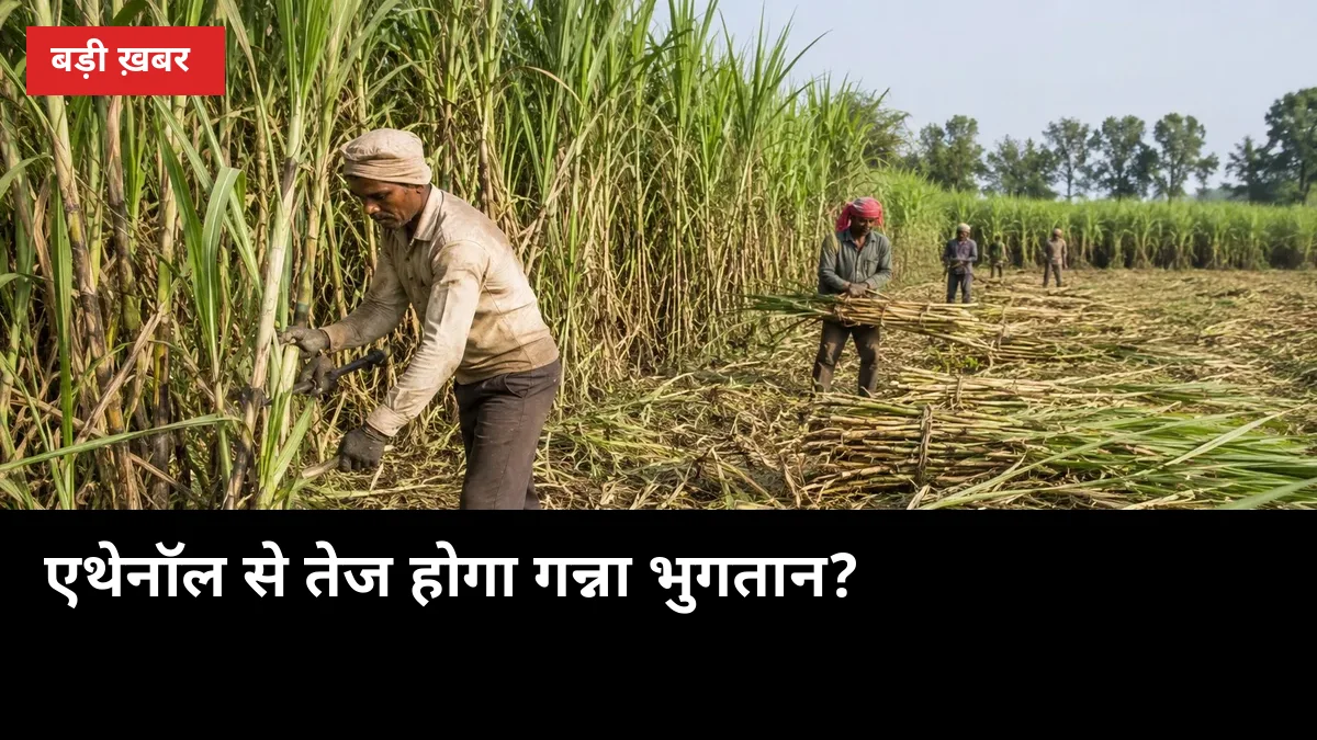 एथेनॉल से तेज होगा गन्ना भुगतान? छाता में ₹200 करोड़ प्लांट को मंजूरी