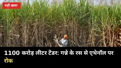 1100 करोड़ लीटर के टेंडर में गन्ने का रस बाहर: UP किसानों के लिए क्या मतलब