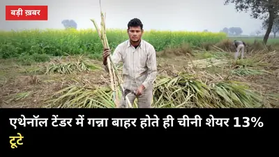 एथेनॉल टेंडर में गन्ना बाहर होते ही चीनी शेयर 13% टूटे, यूपी की 122 मिलों की कमाई पर सवाल