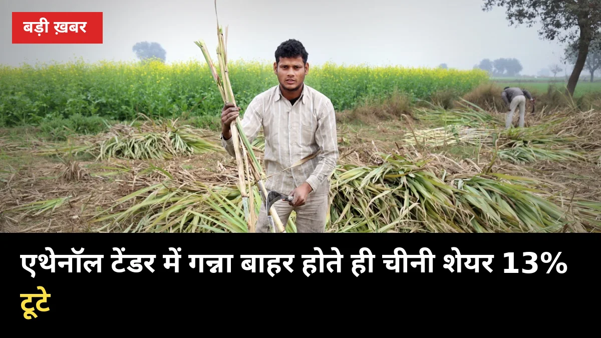 एथेनॉल टेंडर में गन्ना बाहर होते ही चीनी शेयर 13% टूटे, यूपी की 122 मिलों की कमाई पर सवाल