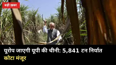 यूरोप जाएगी यूपी की चीनी: 5,841 टन निर्यात कोटा मंजूर, किसानों को क्या फायदा?
